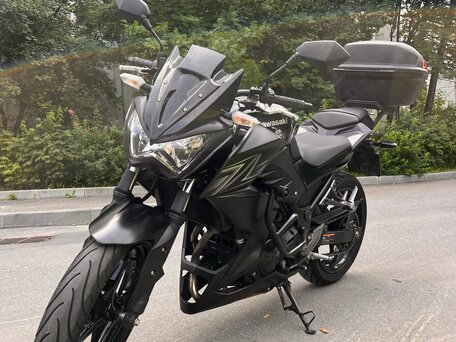 2017 Kawasaki Z 300, чёрный, 389000 рублей, вид 1