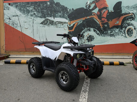 2026 Tao Motor Hunter 125, белый, 97300 рублей, вид 2