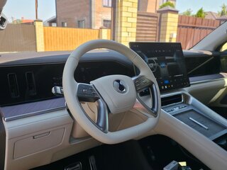 2025 Denza N9 46.9 kWh, серый, 7000000 рублей, вид 2