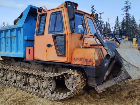 2020 Алтайлесмаш ТЛ-5АЛМ, жёлтый, 3500000 рублей, вид 3
