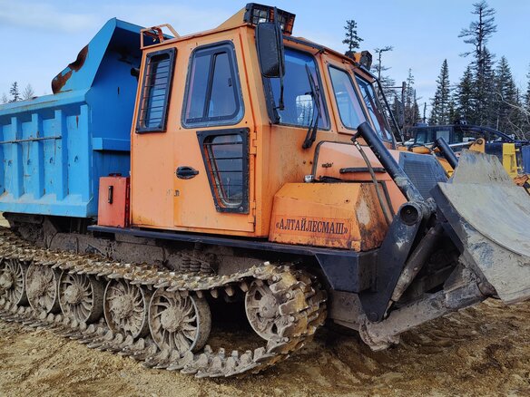 2020 Алтайлесмаш ТЛ-5АЛМ, жёлтый, 3500000 рублей - вид 2
