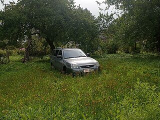2012 Lada (ВАЗ) Priora I, серый, 230000 рублей, вид 5