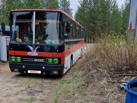 1984 Ikarus 250, красный, 550000 рублей, вид 1