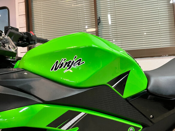 2014 Kawasaki Ninja 250R, зелёный, 399000 рублей - вид 17