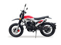 2024 Fuego Rambolor 250, красный, 159900 рублей - вид 3