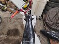 2022 Kayo Basic TT125, белый, 30000 рублей - вид 4