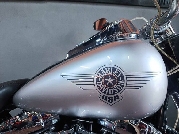 2009 Harley-Davidson Fat Boy, серый, 870000 рублей - вид 9