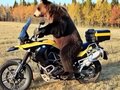 2012 BMW F 650 GS, жёлтый, 600000 рублей