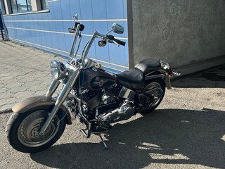 2004 Harley-Davidson Fat Boy, коричневый, 680000 рублей, вид 3