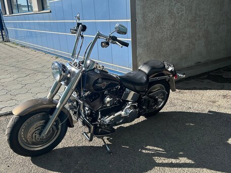 2004 Harley-Davidson Fat Boy, коричневый, 680000 рублей, вид 3