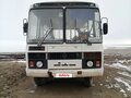 2005 ПАЗ 3206, белый, 387183 рублей - вид 4