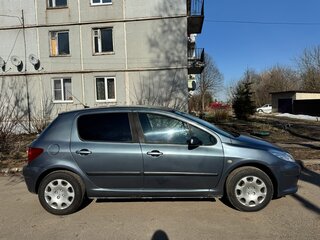 2006 Peugeot 307 I Рестайлинг, серый, 470000 рублей, вид 4
