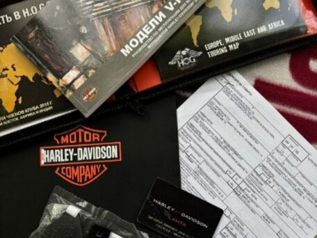 2014 Harley-Davidson V-Rod Muscle, золотистый, 1350000 рублей, вид 3
