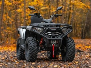 2026 Loncin XWolf 300 Max, серый, 485000 рублей, вид 1