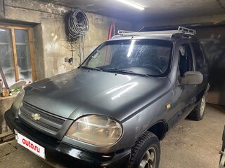2004 Chevrolet Niva I, серый, 390000 рублей, вид 1