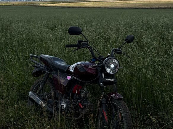 2022 Racer Alpha, пурпурный, 45000 рублей - вид 5