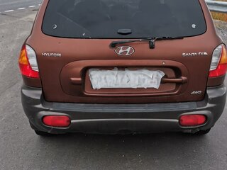 2001 Hyundai Santa Fe I, коричневый, 580000 рублей, вид 3