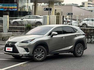 2020 Lexus NX 200 I Рестайлинг, серебристый, 2560000 рублей, вид 1