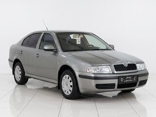 2010 Skoda Octavia I (A4) Рестайлинг, серый, 499000 рублей, вид 1