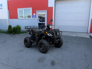 2026 Armada ATV 150, чёрный, 126400 рублей, вид 1