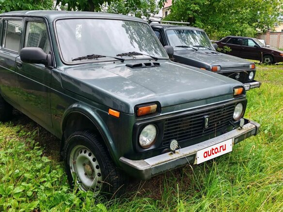 2006 Lada (ВАЗ) 2131 (4x4) I, серый - вид 4