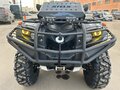 2023 Stels ATV-650YL Leopard, белый, 630000 рублей - вид 3