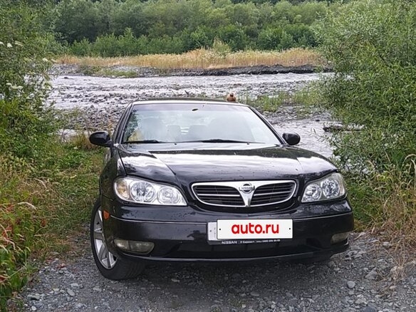 2004 Nissan Maxima V (A33), чёрный, 400000 рублей - вид 1