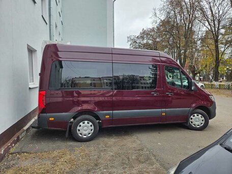 2019 Mercedes-Benz Sprinter, красный, 4500000 рублей, вид 3