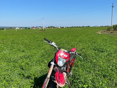 2024 Motoland XR250, красный, 115000 рублей, вид 3