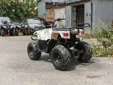 2026 Motoland ATV 110 Rider, серый, 73700 рублей, вид 4