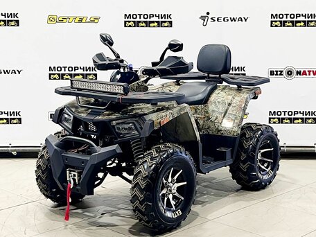 2026 Motoland Wild Track 200 X Pro, бежевый, 219000 рублей, вид 1