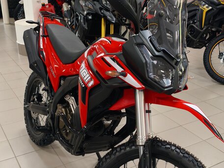 2026 Loncin DS250, красный, 258000 рублей, вид 3