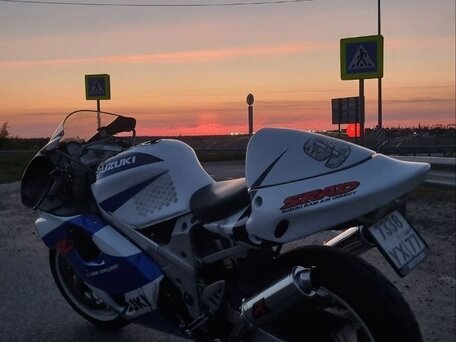 1998 Suzuki TL 1000, синий, 500000 рублей, вид 4