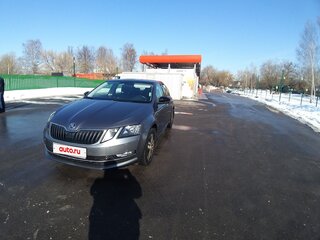 2020 Skoda Octavia III (A7) Рестайлинг, серый, 1700000 рублей, вид 2