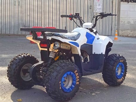 2026 Motoland ATV 110 Eagle, белый, 85400 рублей, вид 5