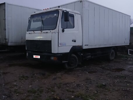 2012 МАЗ 4370, белый, 400000 рублей, вид 1