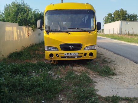 2008 Hyundai County, жёлтый, 190000 рублей, вид 1