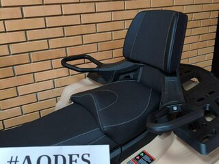 2025 AODES (Odes) Pathcross 650, красный, 1232000 рублей, вид 3
