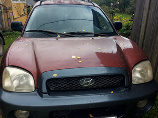 2001 Hyundai Santa Fe I, пурпурный, 412000 рублей, вид 1