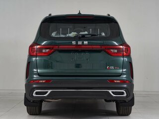 2024 SWM G05 Pro, зелёный, 1845000 рублей, вид 4
