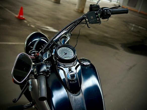 2014 Harley-Davidson Softail Slim, серый, 950000 рублей - вид 18