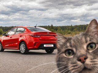 2020 Kia Rio IV, красный, 1350000 рублей, вид 4