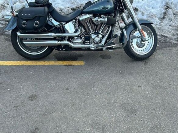 2015 Harley-Davidson Fat Boy, серый, 2100000 рублей - вид 3