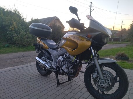1999 Yamaha TDM850, золотистый, 280000 рублей, вид 3