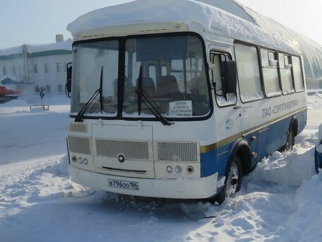 2020 ПАЗ 3205, белый, 812520 рублей, вид 3