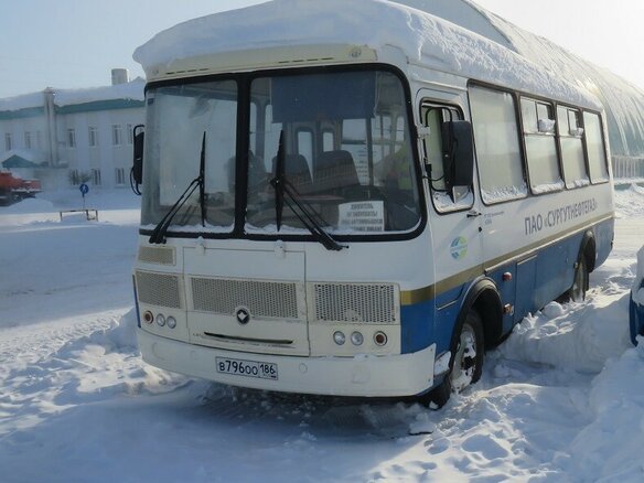 2020 ПАЗ 3205, белый, 763720 рублей - вид 2
