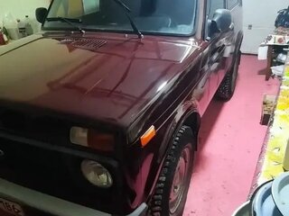 2014 Lada (ВАЗ) 2121 (4x4) I Рестайлинг, красный, 600000 рублей, вид 3