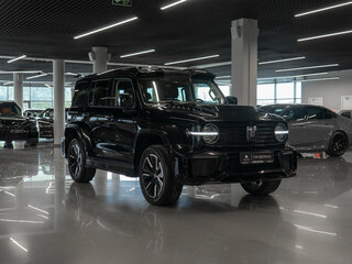 2024 Tank 300 I, чёрный, 4400000 рублей, вид 2