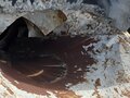 2017 МАЗ Бетоносмеситель, 2700000 рублей - вид 6