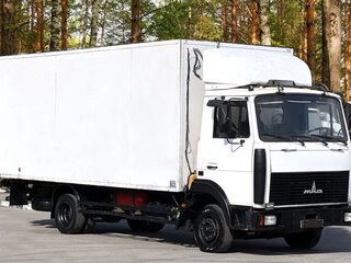 2012 МАЗ 4370, белый, 999000 рублей, вид 3
